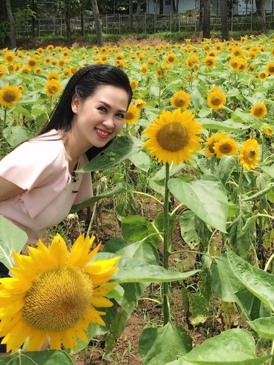 hồ ngọc hà, trấn thành, nhã phương, nsnd lan hương, bảo thanh
