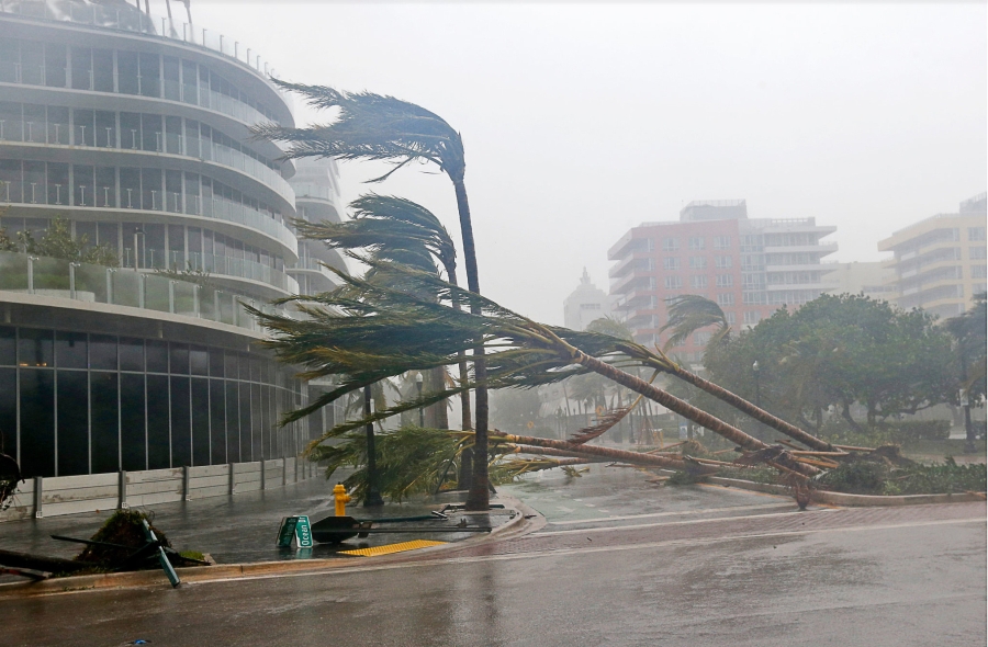 'Quai vat' Irma trut cuong no cuc dai len Florida hinh anh 8