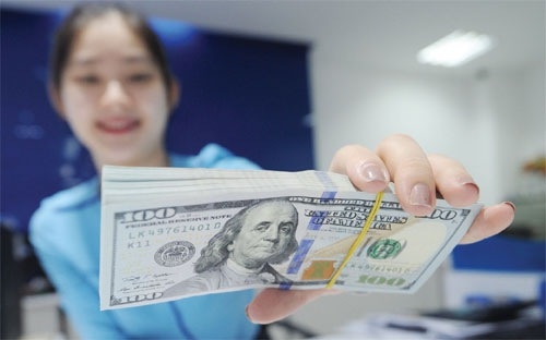 Ngân hàng Nhà nước bất ngờ hạ giá mua USD