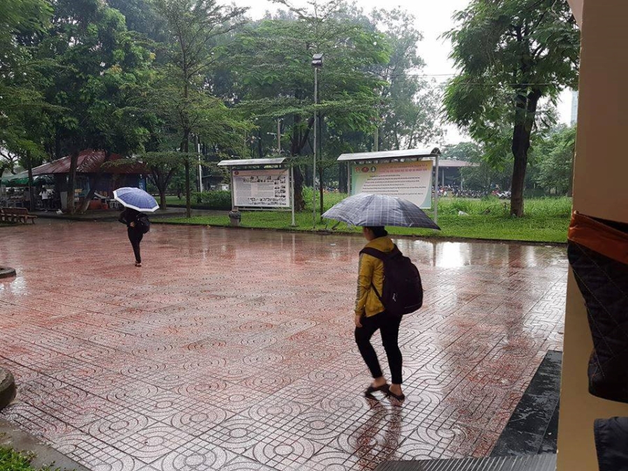 Trời mưa, chỉ có 5/500 sinh viên tham dự, giảng viên hụt hẫng - ảnh 2